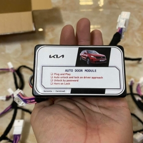 Auto Lock Hyundai Palisade Kia Sportage