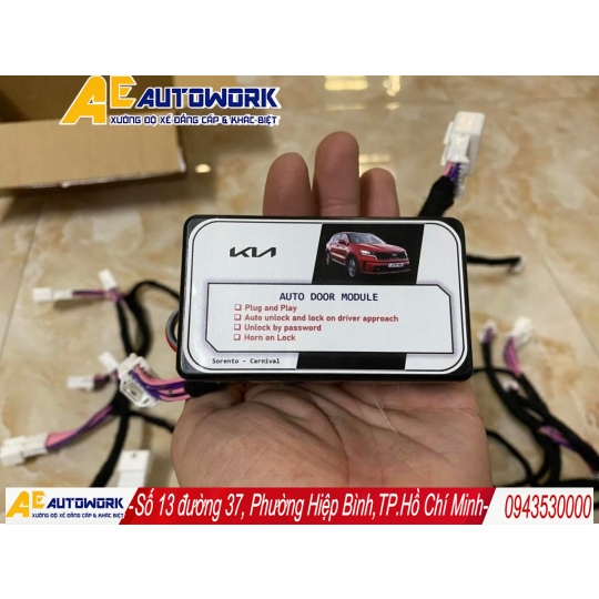 Auto Lock Hyundai Palisade Kia Sportage
