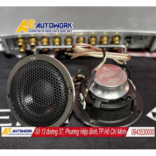 Loa Xcelsus chất lượng cao: Âm thanh Hi-End Thụy Điển