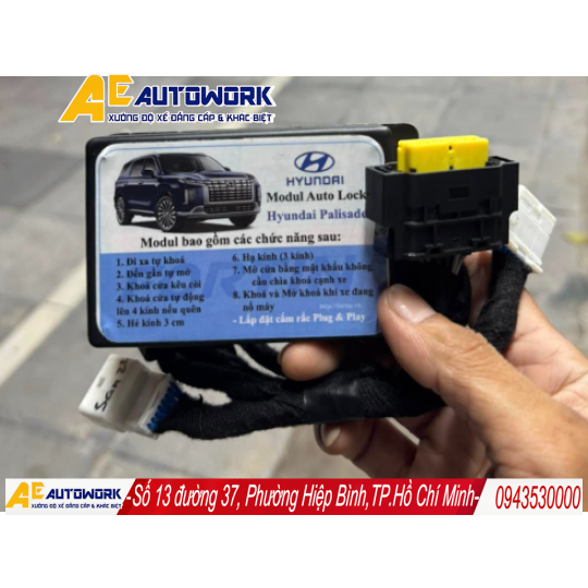 Hyundai Palisade Auto Lock Module Version 6.0 | Autowork
