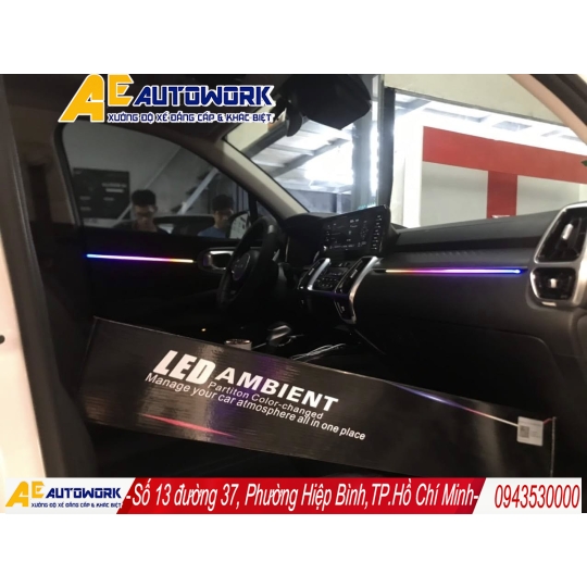 Nội thất Xe Hơi Màu Đen Dễ Bám Bẩn Không? Hướng Dẫn 2026
