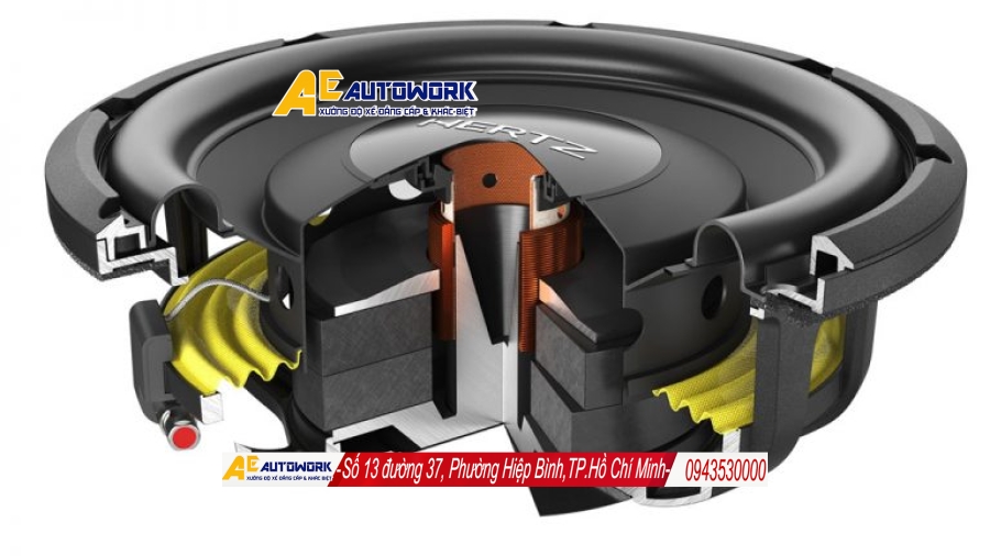 Cấu trúc bên trong Hertz MPS 250