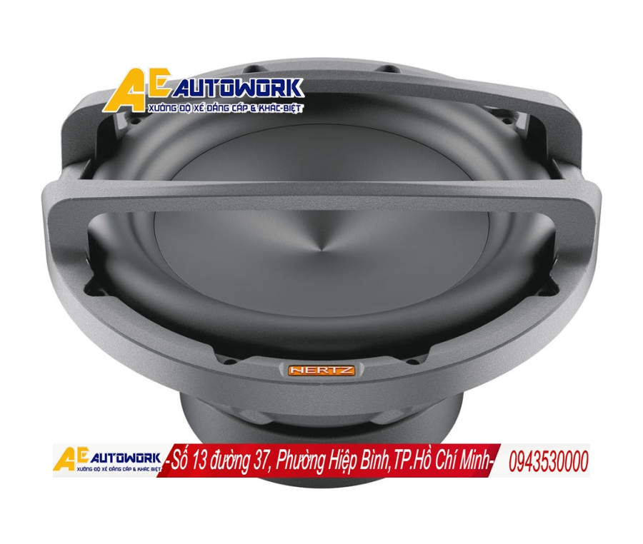 Loa MP 250 với lưới bảo vệ MPG 250 tùy chọn