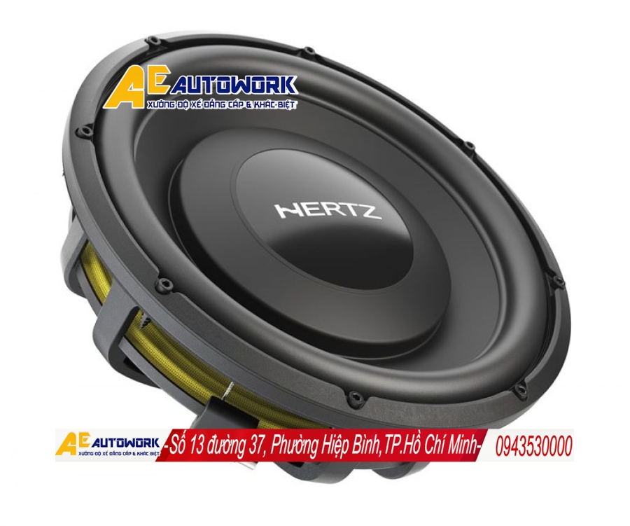 Loa Hertz MPS 300 EMO