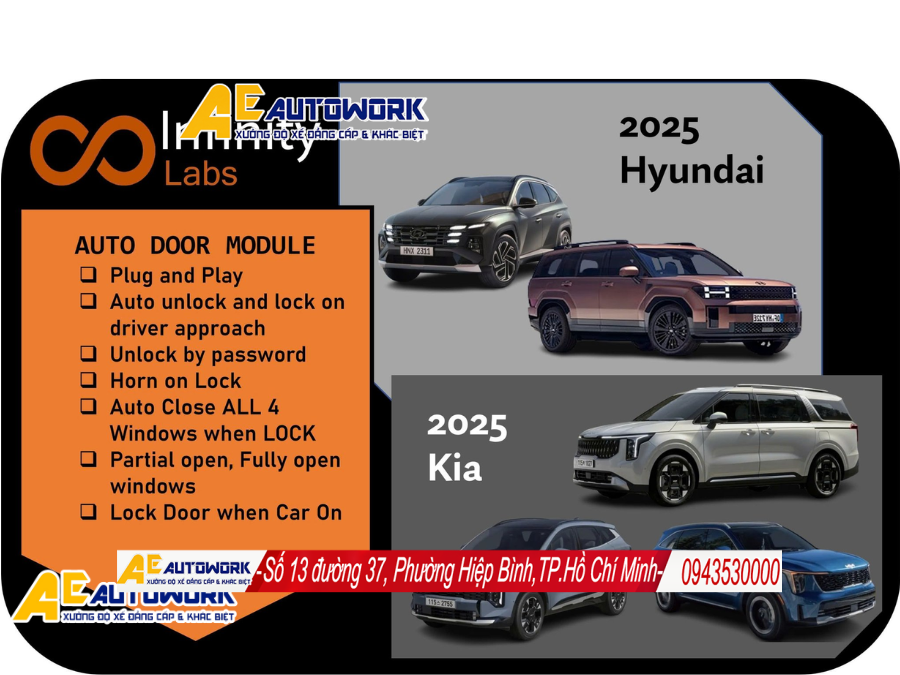 module-de-no-tu-xa-hyundai-santafe