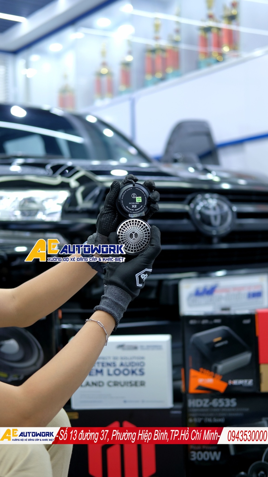 loa-mid-xcelsus-roi-o-to