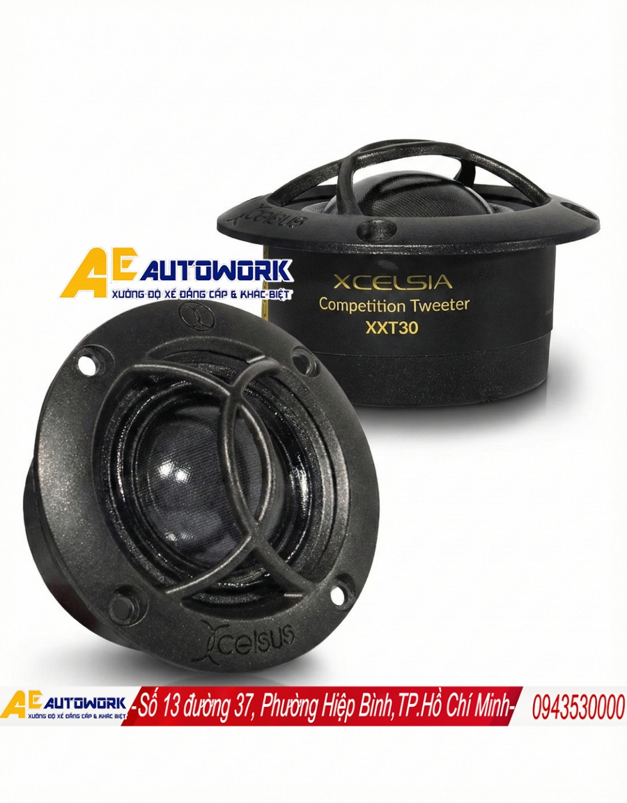 loa-xcelsus-xe-hoi-chinh-hang