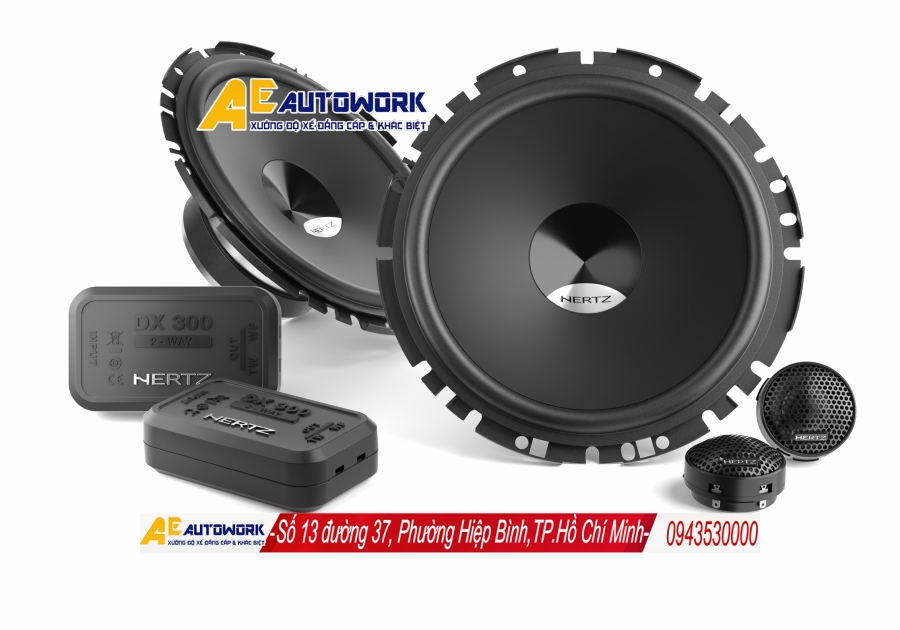 co-nen-nang-cap-loa-hertz-cho-xe-moi