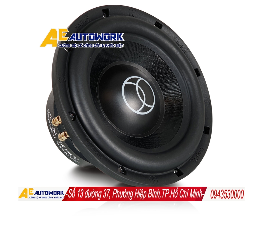 loa-xcelsus-xe-hoi-chinh-hang