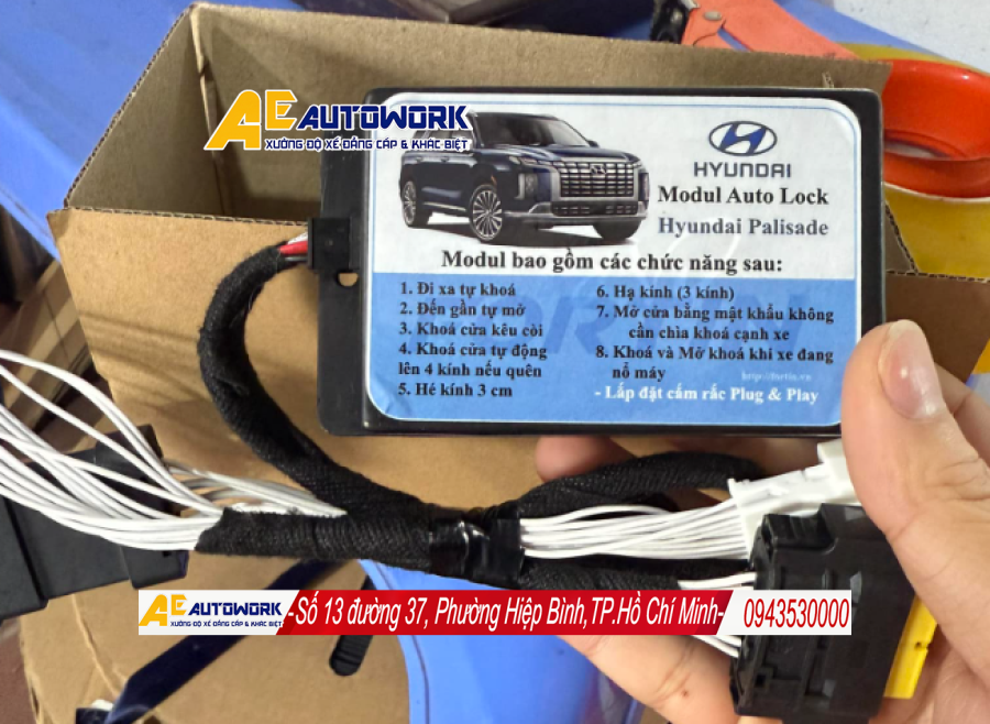 module-auto-lock-hyundai-palisade-tphcm