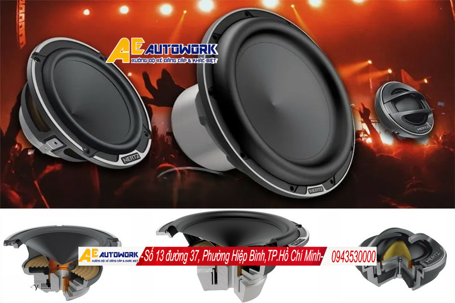 lap-loa-hertz-nghe-nhac-vang-cho-o-to