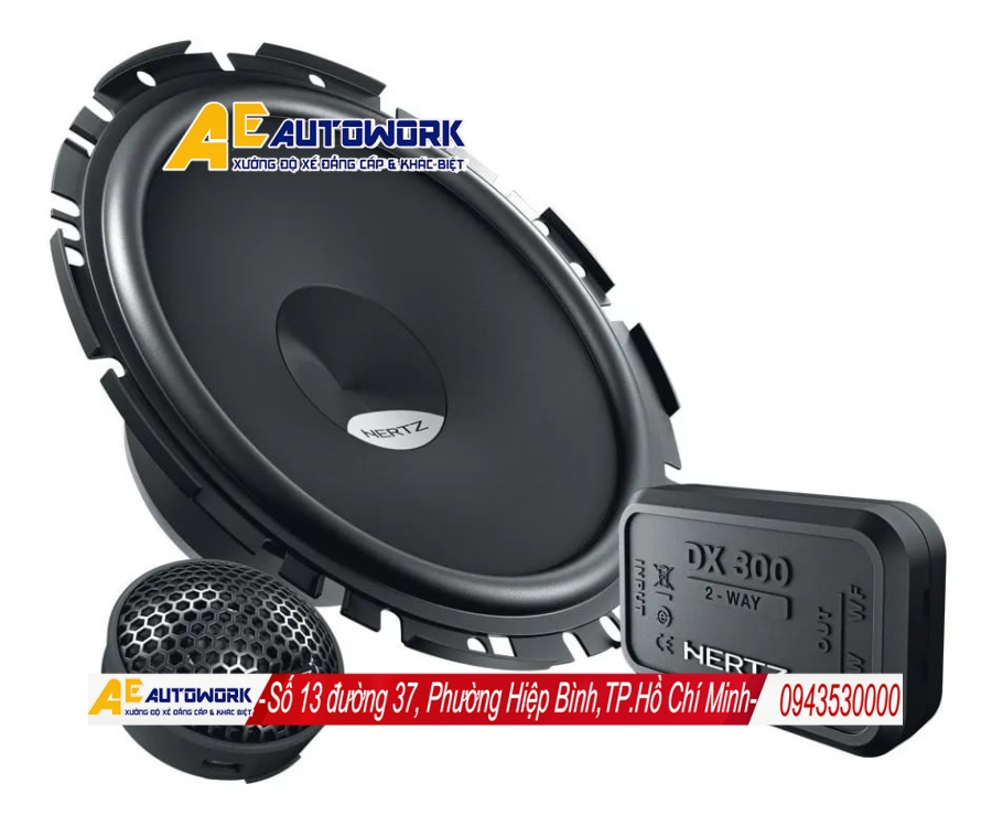 dan-am-thanh-o-to-hertz-cho-xe-sedan