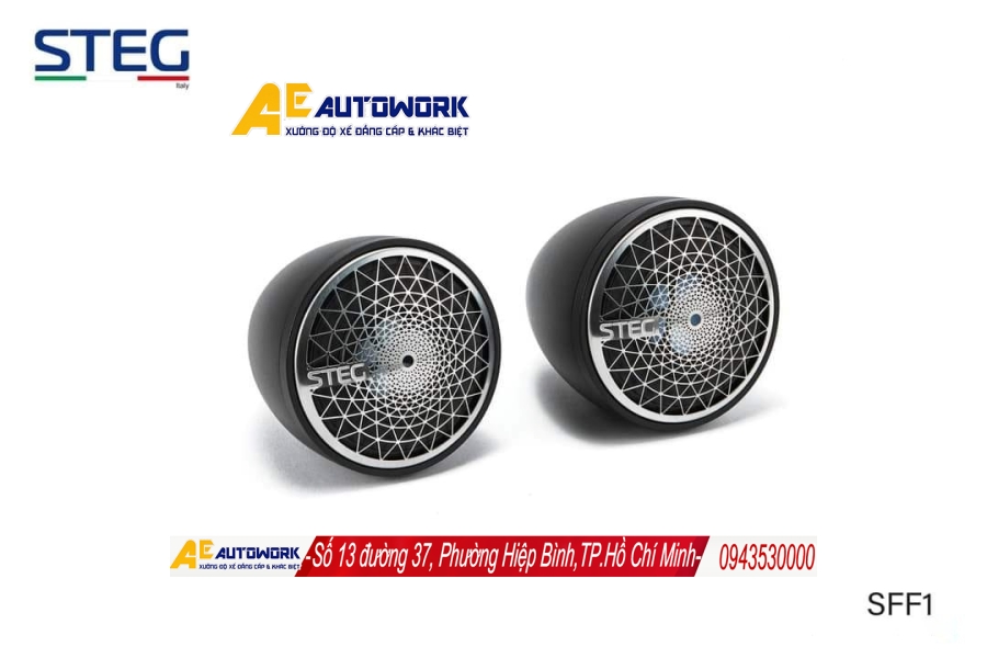 loa-toan-dai-trung-tam-cho-o-to